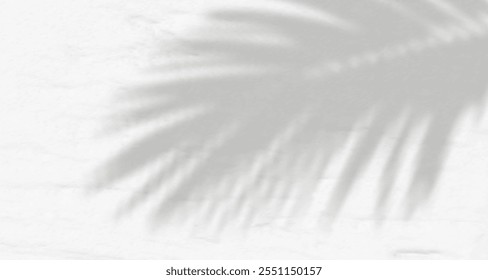 Resplandor de los rayos del sol en la pared. Sombras borrosas de hojas y plantas en la habitación. Superposición suave de luz natural. Fondo Abstractas para la presentación del producto. Diseño de luz natural.