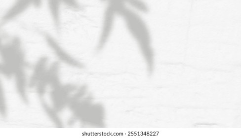 Resplandor de los rayos del sol en la pared. Sombras borrosas de hojas y plantas en la habitación. Superposición suave de luz natural. Fondo Abstractas para la presentación del producto. Diseño de luz natural.