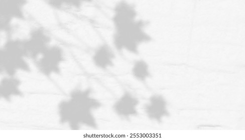 Resplandor de los rayos del sol en la pared. Sombras borrosas de hojas y plantas en la habitación. Superposición suave de luz natural. Fondo Abstractas para la presentación del producto. Diseño de luz natural.
