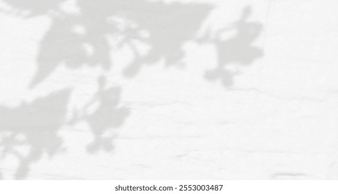 Glare from the sun's rays on the wall. Blurred shadows from leaves and plants in the room. Soft overlay of natural light. Abstract background for product presentation.Natural light layout.