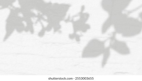 Glare from the sun's rays on the wall. Blurred shadows from leaves and plants in the room. Soft overlay of natural light. Abstract background for product presentation.Natural light layout.