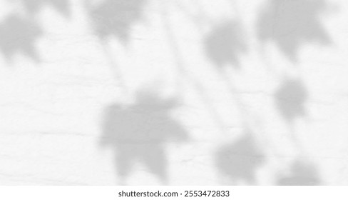 Glare from the sun's rays on the wall. Blurred shadows from leaves and plants in the room. Soft overlay of natural light. Abstract background for product presentation.Natural light layout.
