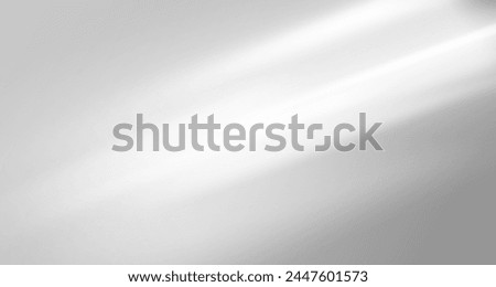 Glare from the sun's rays on the wall. Blurred shadows from leaves and plants in the room. Soft overlay of natural light. Abstract background for product presentation.Natural light layout.