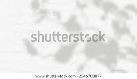 Glare from the sun's rays on the wall. Blurred shadows from leaves and plants in the room. Soft overlay of natural light. Abstract background for product presentation.Natural light layout.