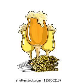 A glass of beer is drawn in a vector. Festival of beer. Apple cider, harvest. Hops, malt, barley, all with what make a live beer.