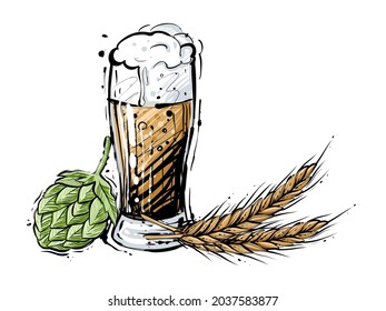 Glass of beer with hop and wheat spikes, hand drawn vector, engraving style