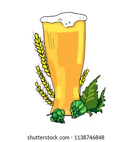 A glass of beer in a vector. Hops, cattle, harvest.
Cider, light beer, healthy food. Cornucopia. Harvesting. Festival of beer, hops.