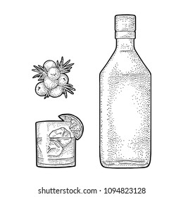 Glass, bottle and branch of Juniper with berries. Handwriting lettering gin. Vintage vector black engraving illustration for label, poster, web. Isolated on white background