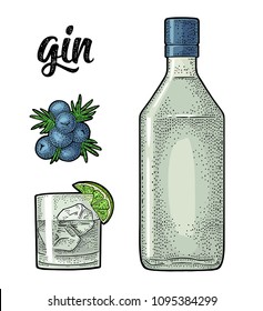 Glass, bottle and branch of Juniper with berries. Handwriting lettering gin. Vintage vector color engraving illustration for label, poster, web. Isolated on white background