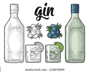 Glass, bottle and branch of Juniper with berries. Handwriting lettering gin. Vintage vector color engraving illustration for label, poster, web. Isolated on white background