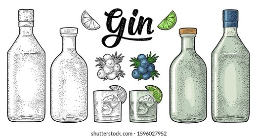 Glass, bottle and branch of juniper with berries. Handwriting calligraphic lettering gin. Vintage vector color engraving illustration for label, poster, web. Isolated on white background