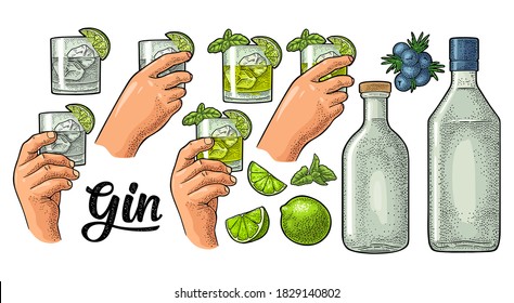 Glass, bottle, branch of juniper with berries. Hands holding glass cocktail with basil and lime. Handwriting calligraphic lettering gin. Vintage vector color engraving illustration isolated on white