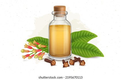 Glass Bottle Of Clove Oil And Cloves  With Green Leaf And Cloves Plant Vector Illustration