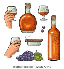 Glass and bottle of cognac, bunch of grapes, cigar and ashtray. Vintage color engraving illustration for label, poster, web, invitation to party. Isolated on white background
