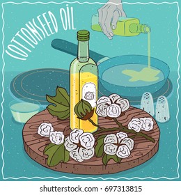 Glass bottle of Cotton seed oil and Gossypium or cotton plant. Hand pouring oil on frying pan. Natural vegetable oil used for frying food. Vector illustration