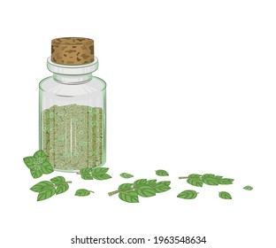 Glass bottle with dry oregano leaves. Next to the bottle are fresh branches and oregano leaves. Close-up. Multi-colored image. There is a place for the test. Element for design. Vector illustration.