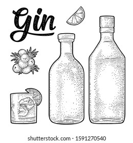 Glass, bottle gin and branch of Juniper with berries. Vintage vector black engraving illustration for label, poster, web. Isolated on white background