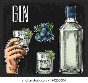 Glass and bottle of gin and branch of Juniper with berries. Vintage vector engraving illustration for label, poster, web, invitation to party. Isolated on dark background