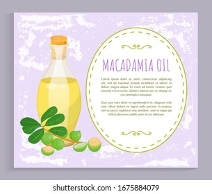 Glass bottle with liquid inside and closed with bung. Branch with green leaves and maroochi plant. Space with information about natural oil made from macadamia nuts. Vector illustration in flat style