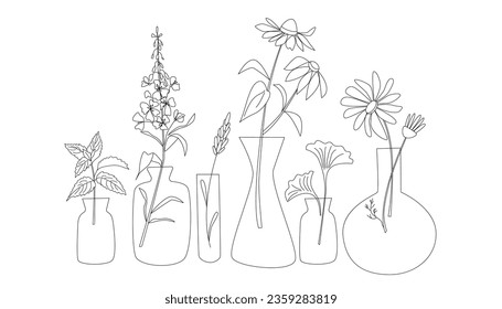 Glass bottle  with medical herbs on white background. Line art style. Lavender, camomile, echinacea, ginkgo .Vector illustration