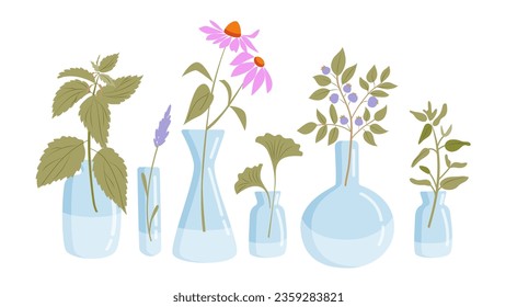 Glass bottle  with medical herbs on white background.  Lavender,  echinacea, ginkgo, blueberry, thyme. Vector illustration.