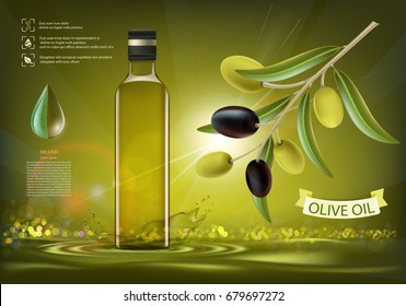 Glass bottle with oil and olives with leaves on a branch. Package design. Healthy vegetarian product. Stock vector illustration.