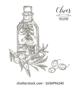 Glass bottle of olive oil. Olives and rosemary. Kitchen herbs hand drawn. Vector illustration. Vintage engraving style.