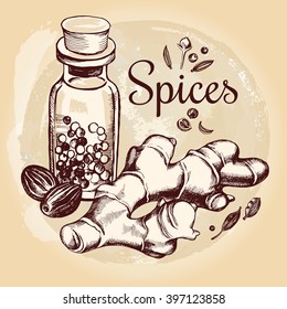 Glass bottle with pepper and ginger root, hand-drawn vector illustration.