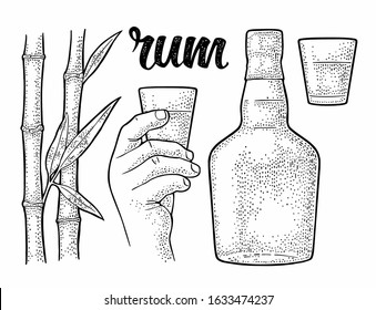 Glass and bottle of rum with sugar cane. Vintage vector black engraving illustration. Isolated on white background. Hand drawn design element for label, poster, web, invitation to party