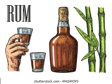 Glass and bottle of rum with sugar cane. Vintage color vector engraving illustration for label, poster, web, invitation to party. Isolated on white background