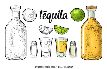 Glass, bottle, salt and lime. Calligraphic handwriting lettering tequila. Vintage color vector engraving illustration for label, poster. Isolated on white background