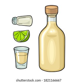 Glass, bottle, salt and lime. Hand drawn sketch set of cocktails with tequila. Vintage color vector illustration for label, poster. Isolated on white background