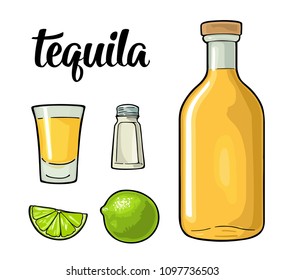 Glass, bottle, salt and lime. Vintage color vector illustration for label, poster. Isolated on white background