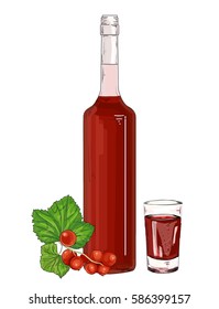 Glass bottle and shot with red currant liqueur vector illustration. Red currant syrup on a white background