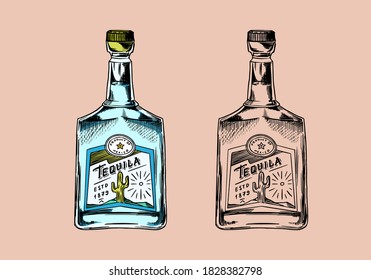  Glass Bottle with strong drink. Vintage Mexican tequila badge. Alcoholic Label for poster banner. Hand Drawn engraved sketch for t-shirt.