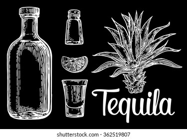 Glass and bottle of tequila. Cactus, salt and lime. Engraving vintage vector 
 white illustration. Isolated on black background. Hand drawn design element for label and poster
