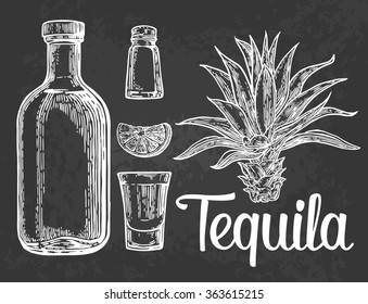 Glass and bottle of tequila. Cactus, salt and lime. Hand drawn sketch of alcoholic cocktails. Vector illustration. Vintage on black background.