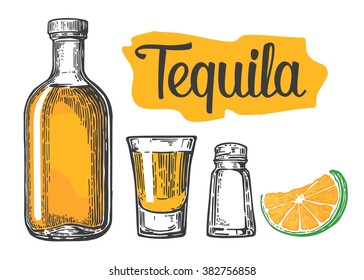 Glass and bottle of tequila, salt and slice of lime.Vintage vector engraving illustration for label, poster, web, invitation to a party.