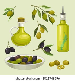 Glass bottles of olive oil, branches with green and black olives, organic, natural and healthy food, vegetarian product vector Illustration