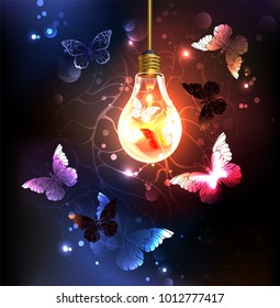 Glass bulb with night butterflies on dark luminous background.