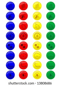 Glass buttons with fruit for WEB in a vector
