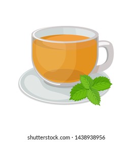 Glass cup with saucer with   tea inside and mint leaves vector illustration isolated on white background. Hot mint tea vector