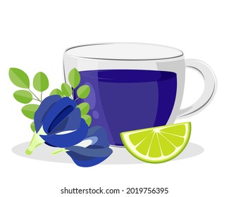 Glass cup of sweet butterfly pea tea or blue pea sweet tea with lemon lime slice isolated on white background. Icon vector illustration