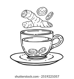 Glass cup of tea, ginger. Hand drawn vector illustration in outline style.