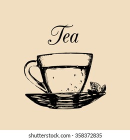 Glass cup of tea isolated. Vector transparent mug and saucer illustration. Hand drawn sketch of soft drink for restaurant, bar, cafe menu design, logo etc. 