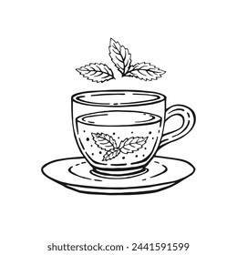 Glass cup tea, mint leaves. Hand drawn vector illustration in outline style.