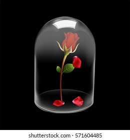 Glass Dome Cover Rose Flower