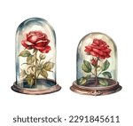Glass dome preserved red rose illustration in watercolor