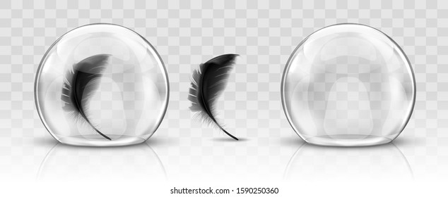 Glass dome or sphere realistic vector. Glass round dome, empty crystal globe and black feather storage container or product presentation case with reflection, illustration isolated on background