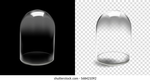 Glass dome vector in black background,
Glass dome vector illustration isolated and transparent